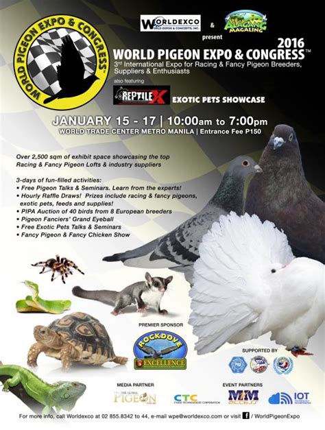 pigeon racing philippines|World Pigeon Expo .